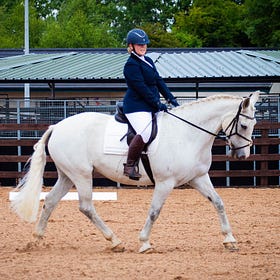 Back up the centre line at Hagans Croft Equestrian