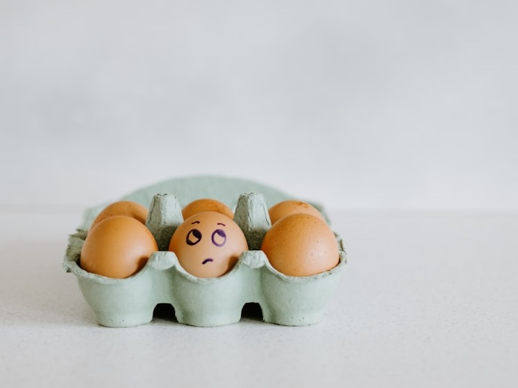 brown and white eggs on white tray