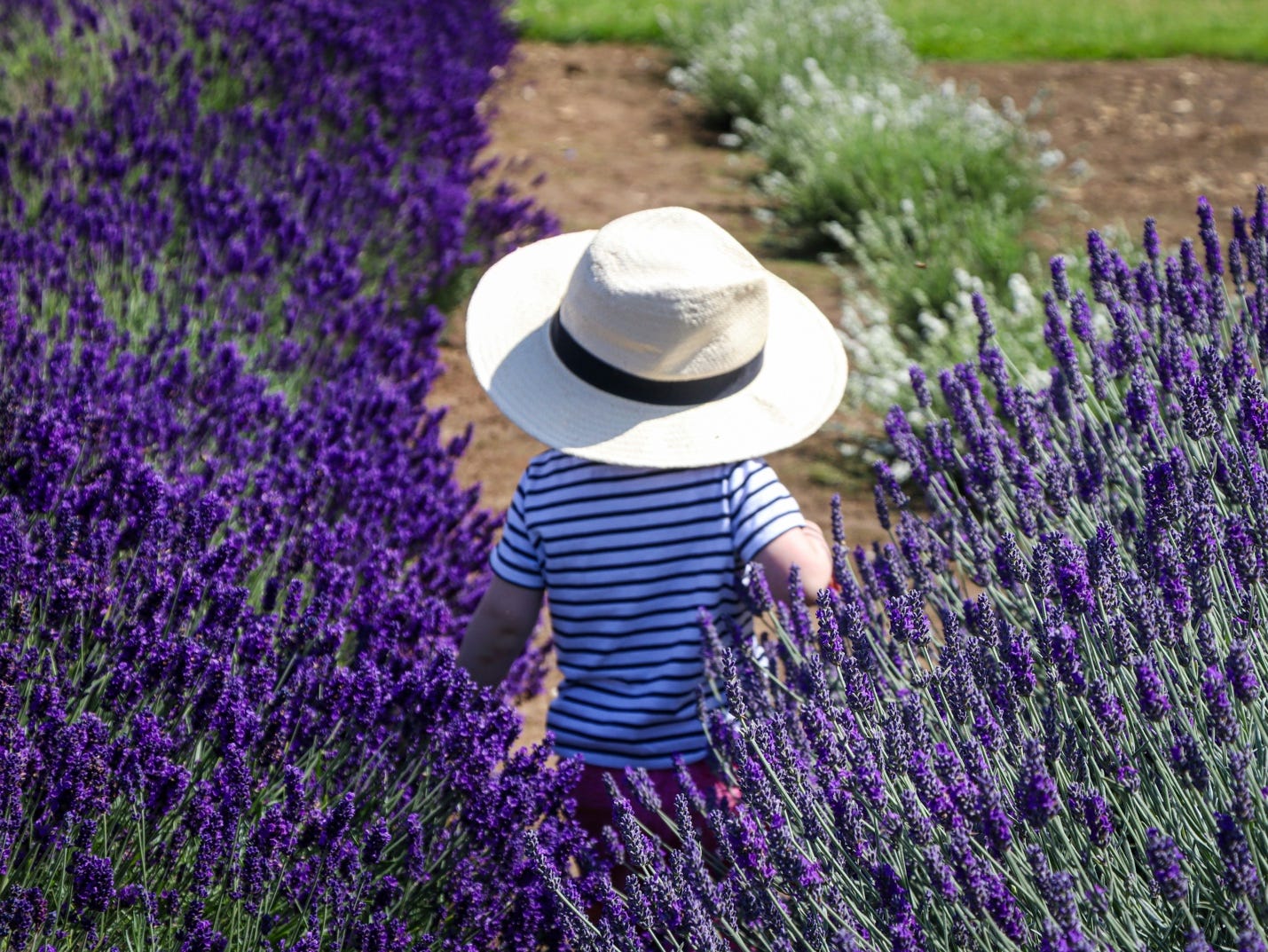 What No One Tells You About Putting Your Kids in Full French Immersion.