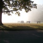 From Battlefield to Sanctuary