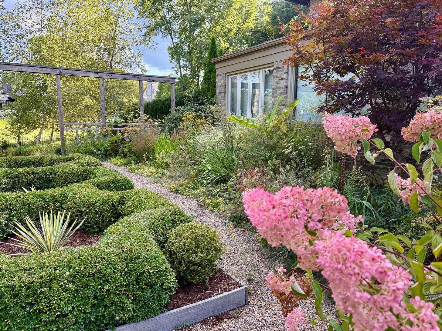 Our Boxwood parterre and Hot Border on the east side of Havenwood