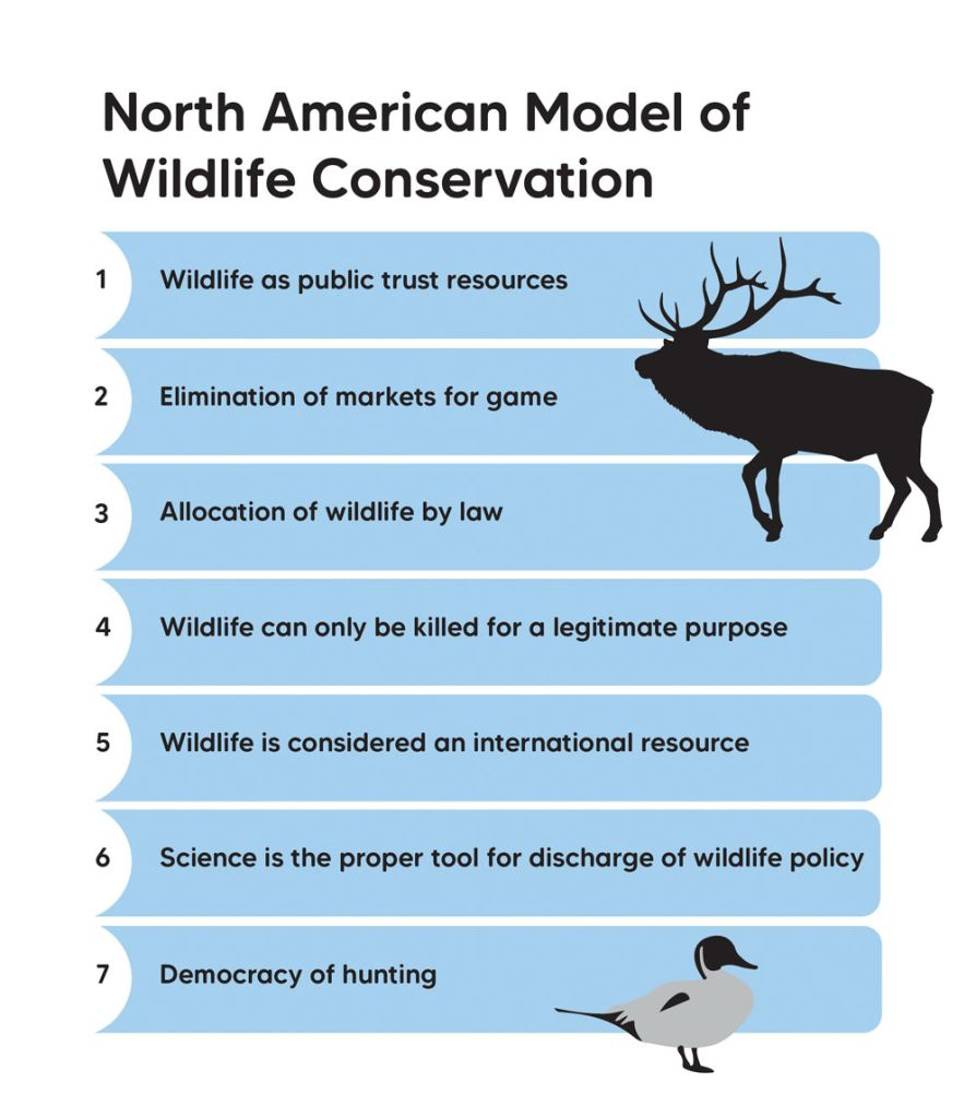 Wash. wildlife policy ignites barnburner debate between enviros, hunters,  tribes - Columbia Insight