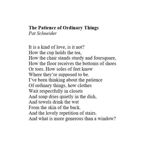 Dark Skin of a Summer Shade — [text ID: The Patience of Ordinary Things Pat ...