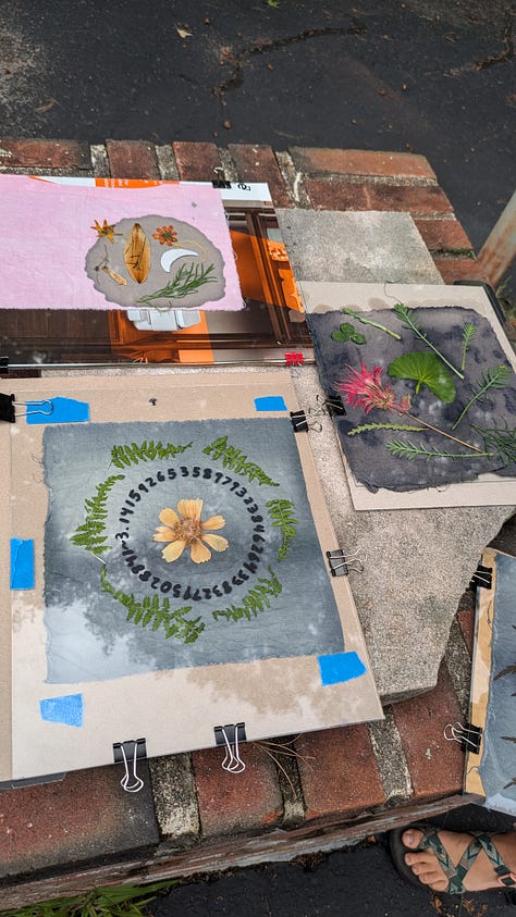 a collection of in progress and finished cyanotypes