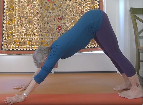 1) finding the spiral 2)ready to move 3)finding support 4)testing and deepening support  5)yielding to earth and pushing away to rise 6) settling into the posture