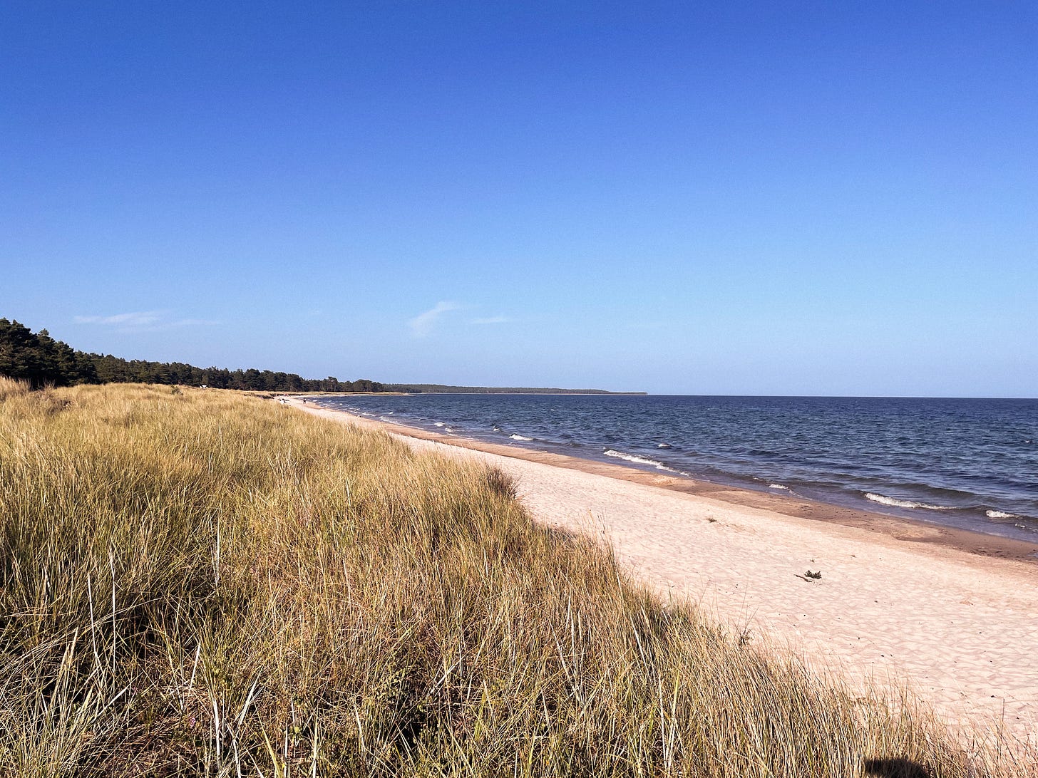 Beach in Northern Öland