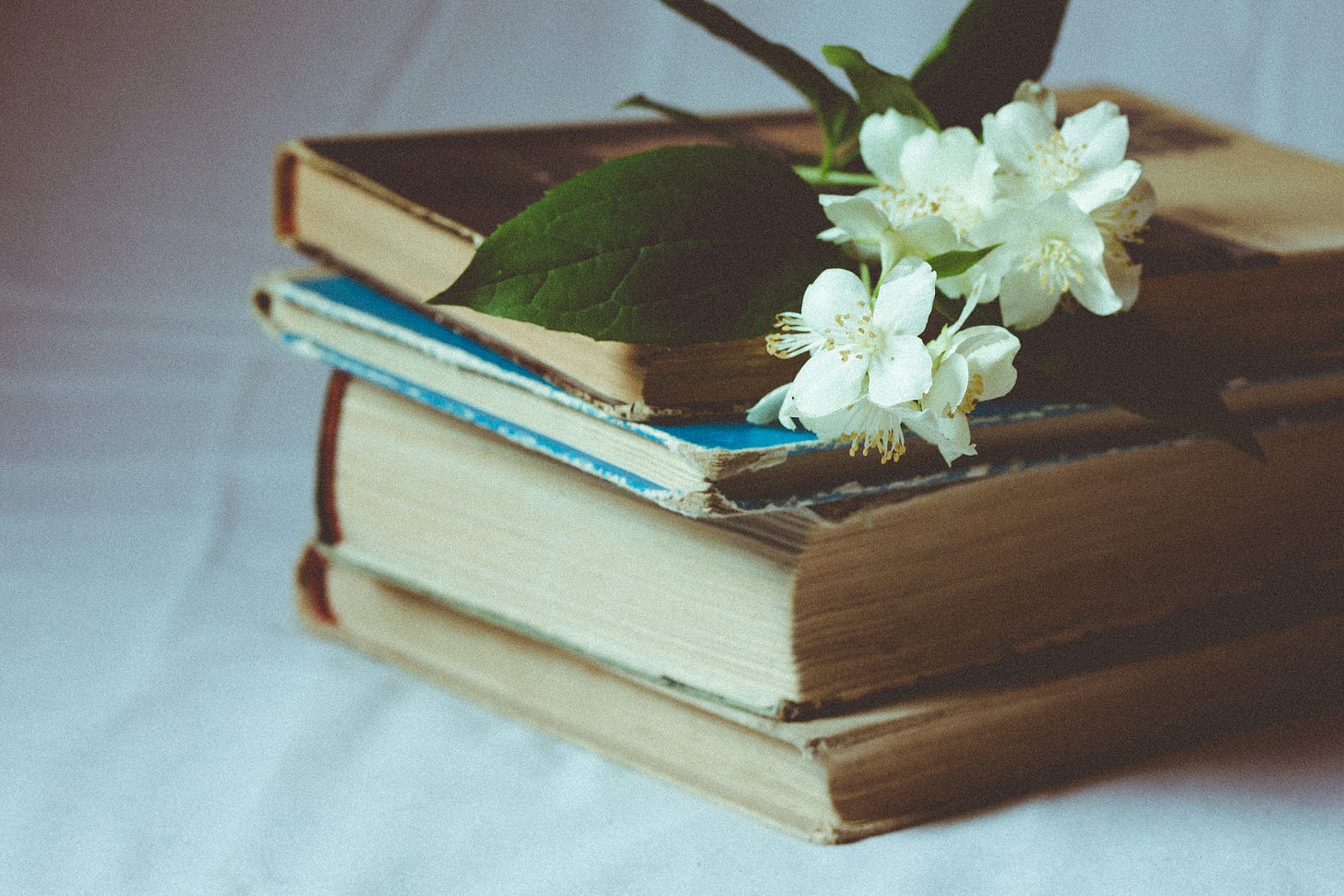 aliis-sinisalu-299299-unsplash aliis-sinisalu-299299-unsplash