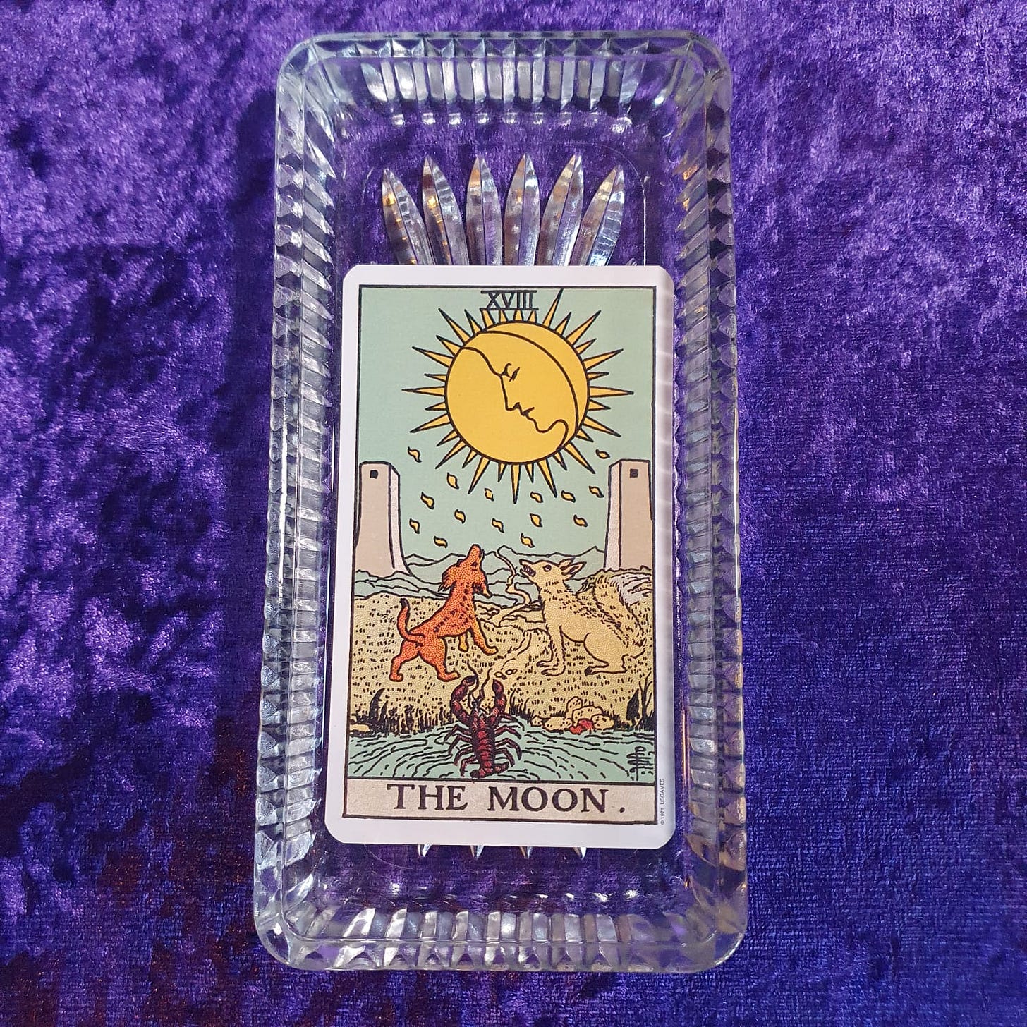 The Moon tarot card sits in a glass dish on a purple velvet background The Moon tarot card sits in a glass dish on a purple velvet background