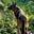 Ardhan Swatridge's avatar