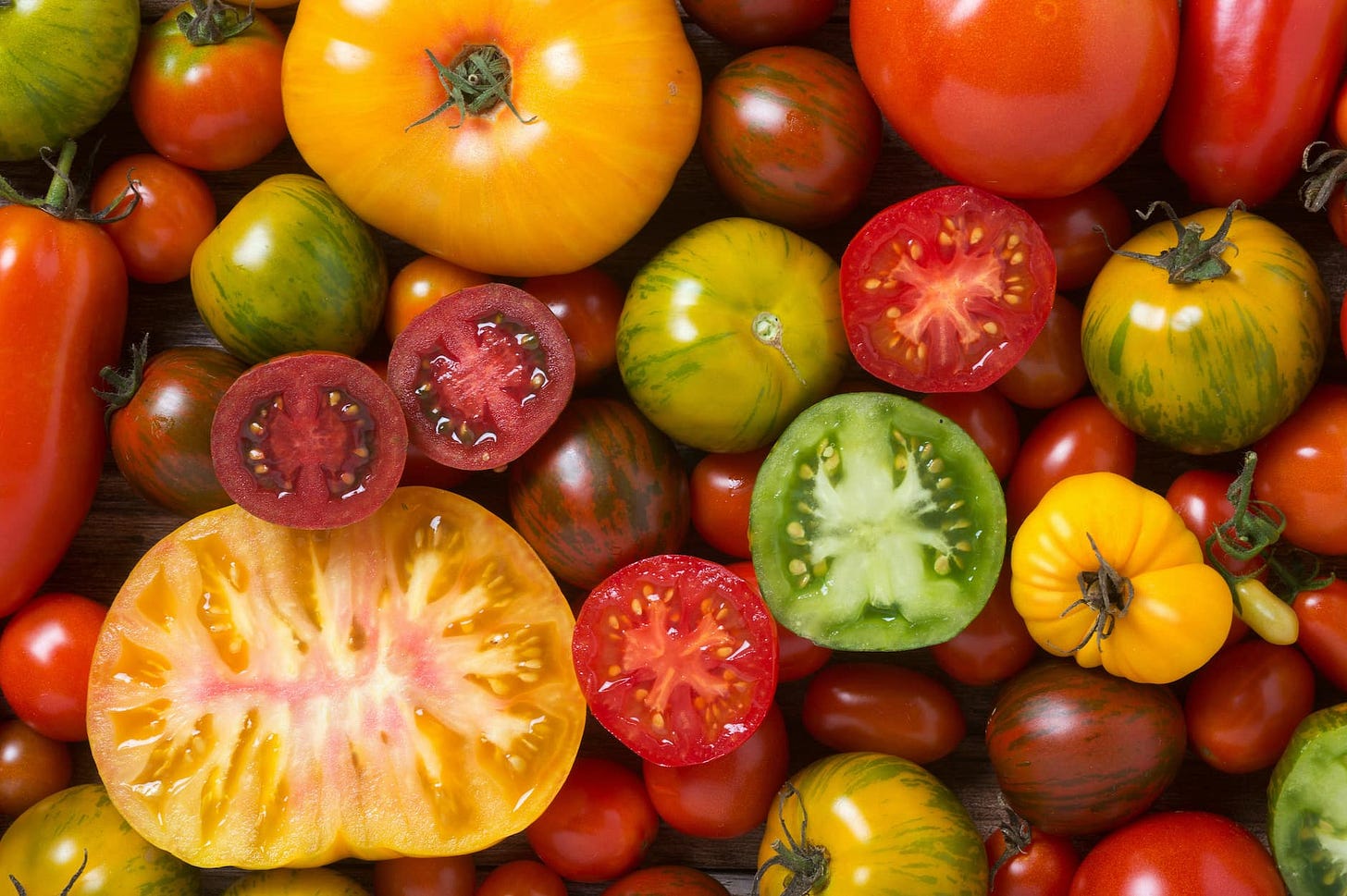 10 Common Tomato Plant Problems and How To Fix Them - Farmers' Almanac