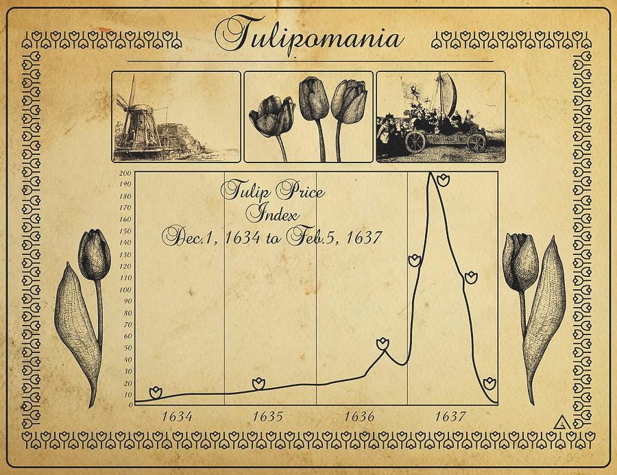 Question: Does Tulip Mania also meet the definition of a rational bubble?