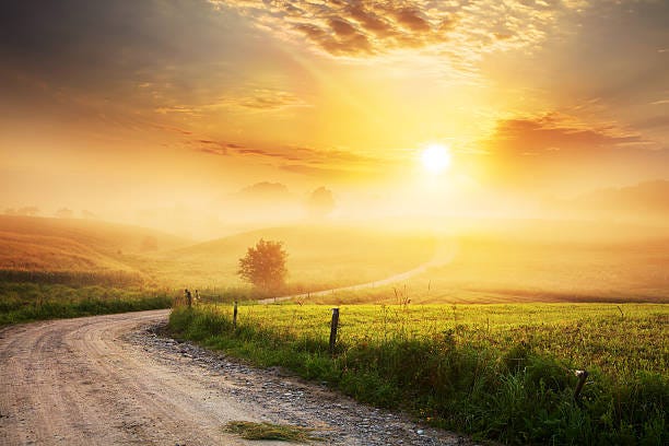 Winding Farm Road through Foggy Landscape Winding Farm Road through Foggy Landscape - fields, meadow, sun during sunrise  meandering path stock pictures, royalty-free photos & images
