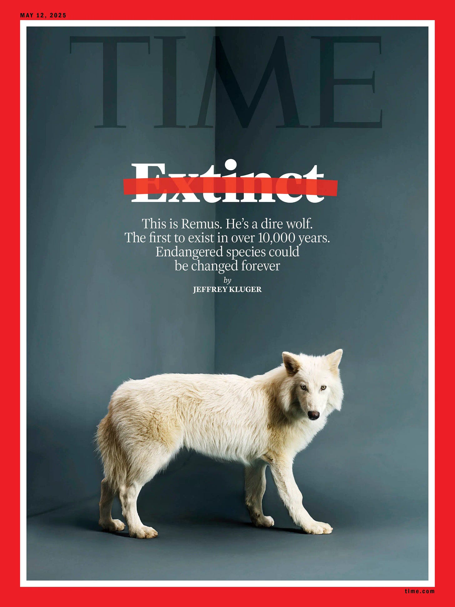 A Time Magazine cover dated May 12, 2025. The cover is a side-on portrait of a white wolf, with its head turned towards the camera. The wolf is against a stark grey background. Below the “Time” logograph is the word “Extinct” with a red line drawn through it. Below that is the following text: This is Remus. He’s a dire wolf. The first to exist in over 10,000 years, Endangered species could be changed forever. By Jeffrey Kluger.”