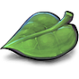 Kaitlin Gray's avatar