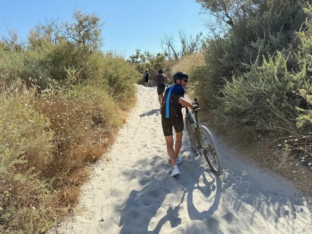 C’était pas prévu C’était pas prévu