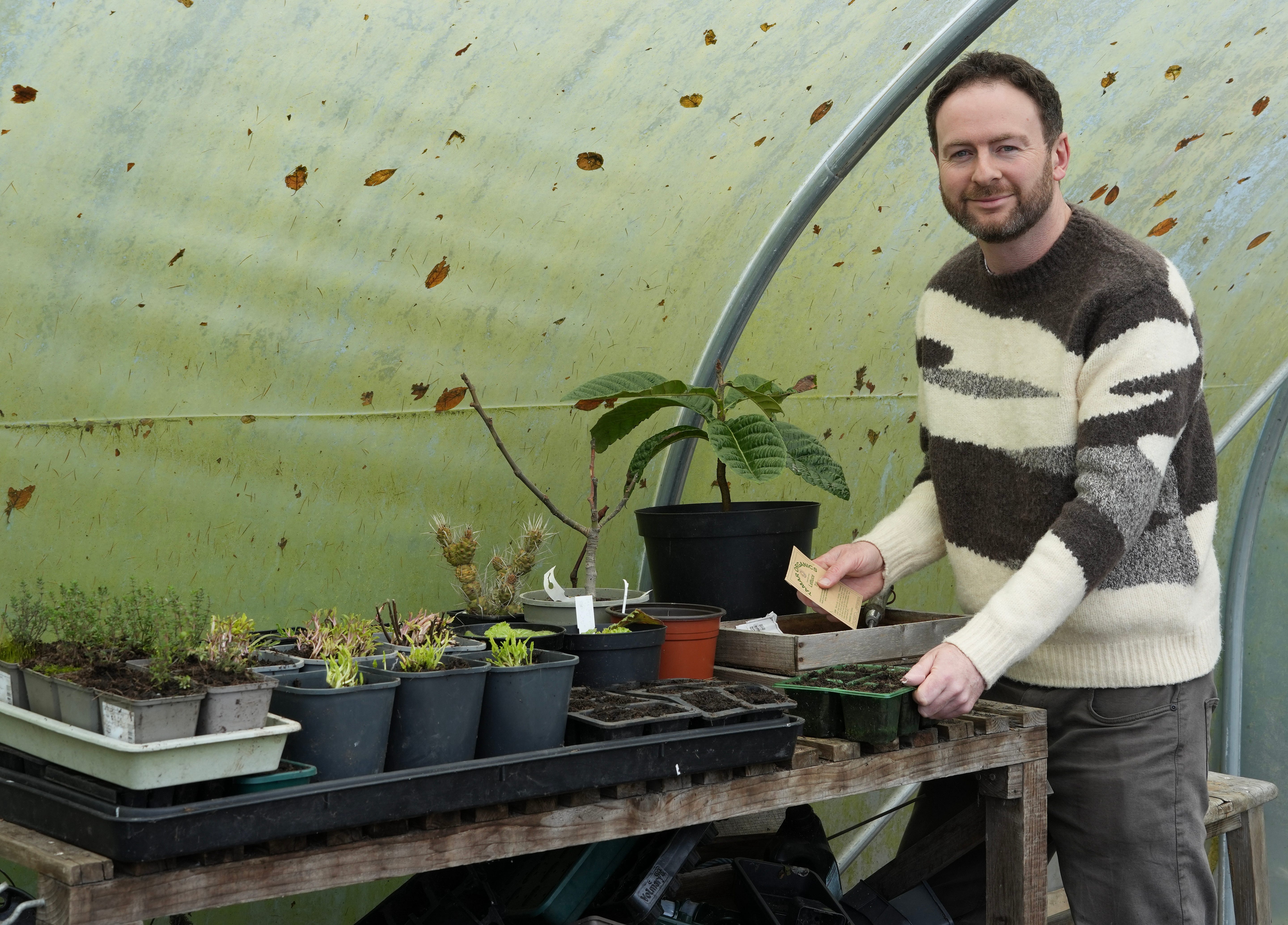 Jack Wallington sowing seeds in his polytunnel