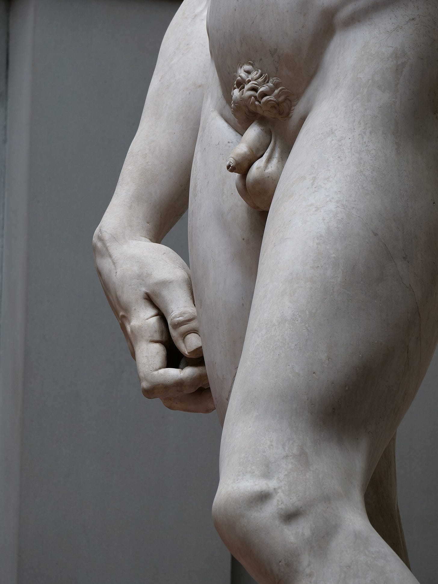Michelangelo, David, 1501–1504. Galleria dell'Accademia, Florence.