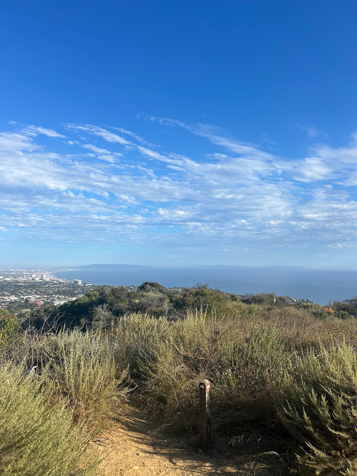 A hiking trail in the Pacific Palisades, June, 2024