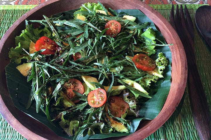 Light On Life retreats at Being Sattvva, Ubud, Bali