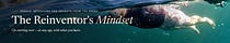 The Reinventor's Mindset