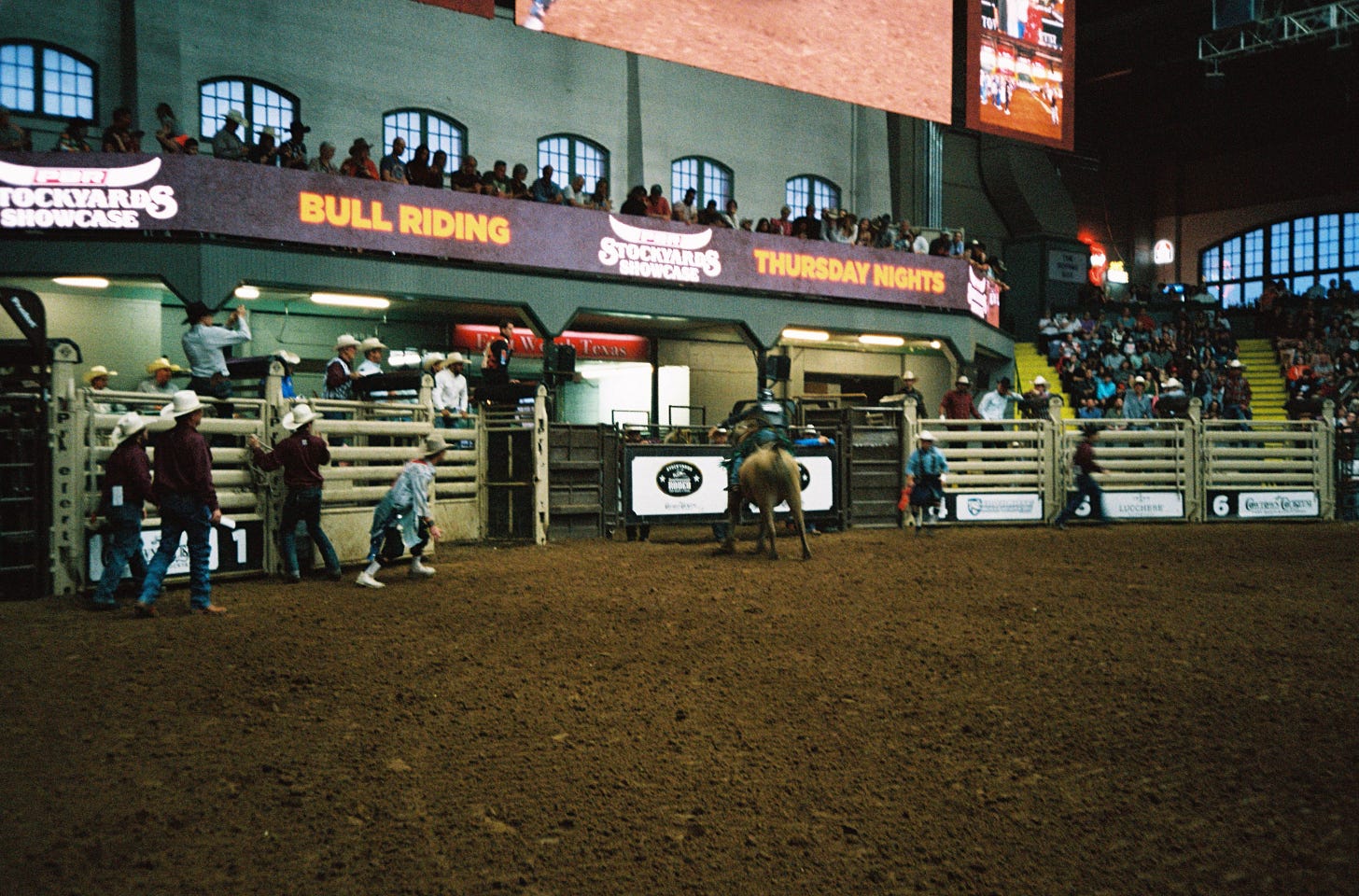 A wide-angle shot of a bull rider getting bucked off a bull at Cowtown Coliseum, Fort Worth, Texas. Bullfighters stand at the edge of the gates ready to intervene. Photographed by Connor Fowler on 35mm film.