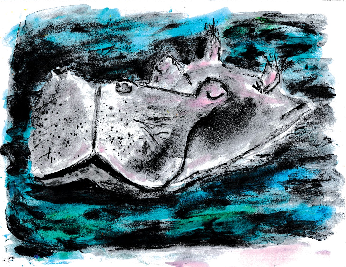 sleeping hippo illustration by Beth Spencer
