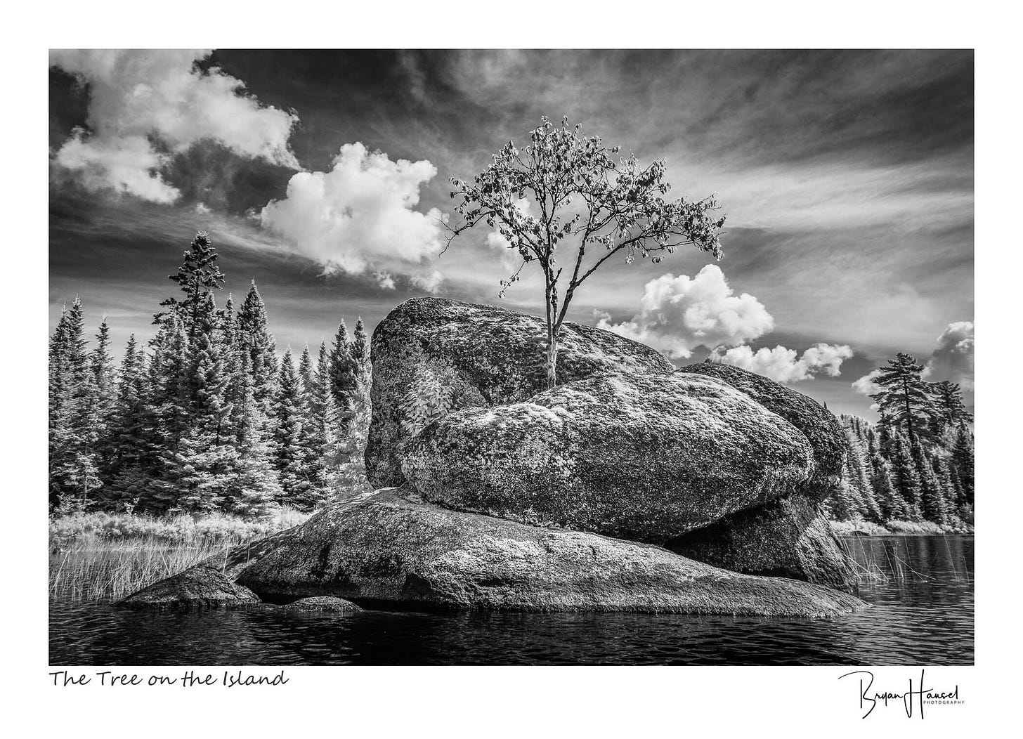 An island with a tree under a cloudy sky