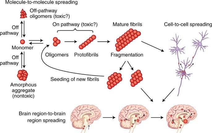 Protein misfolding, aggregation, and conformational strains in  neurodegenerative diseases | Nature Neuroscience