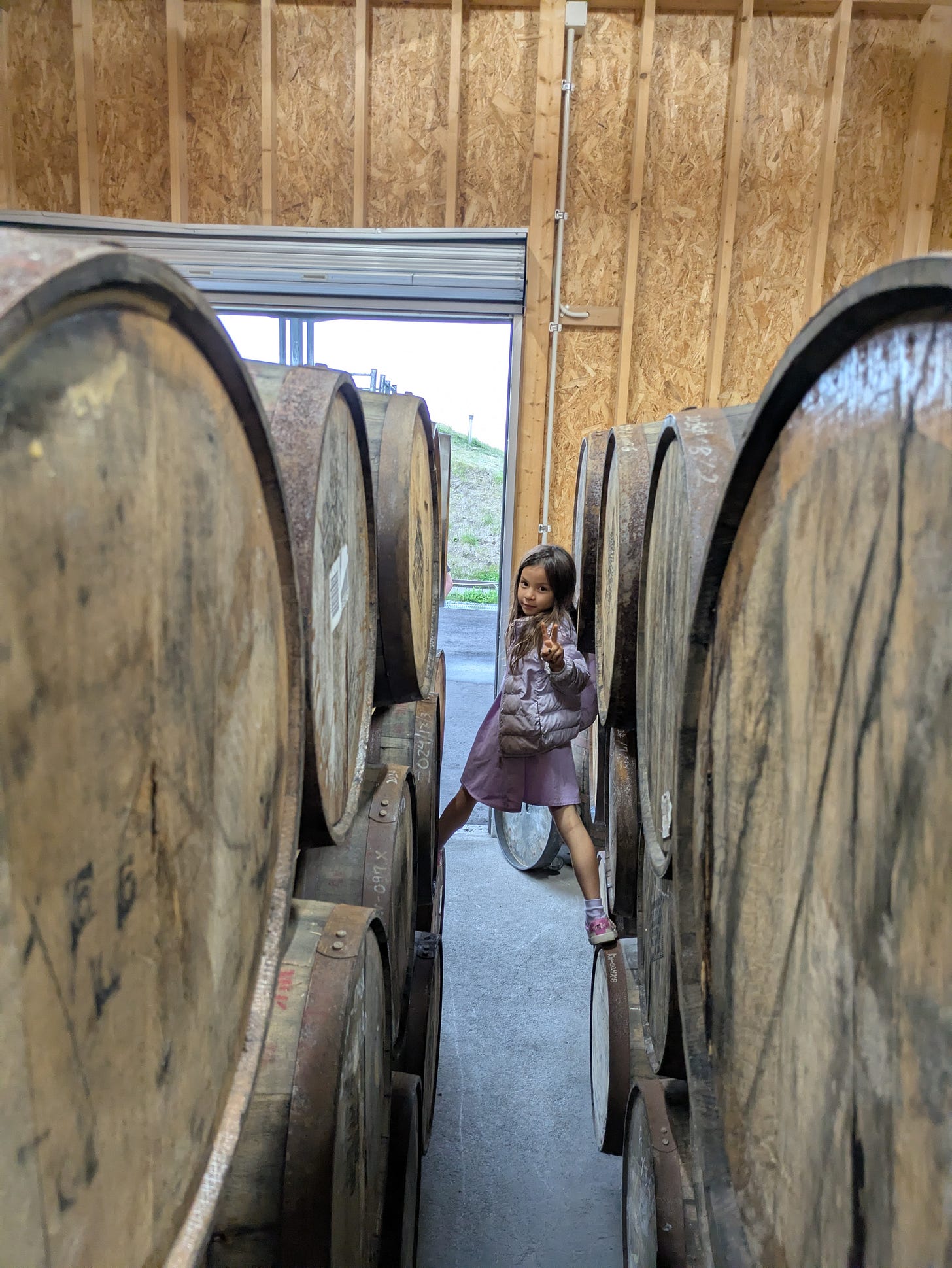 Eight-year-old girl climbing between stacked whisky barrels in aging warehouse
