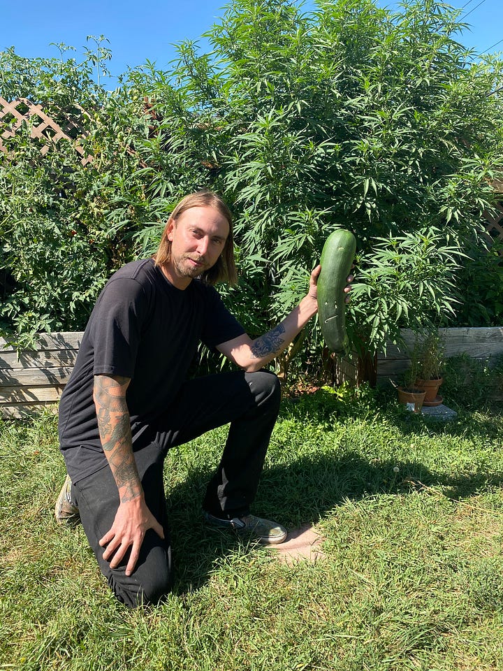 veggies from a garden