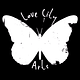 Love City Arts Updates