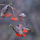 For The Children. Tabs, Tues., Jan. 20, 2025