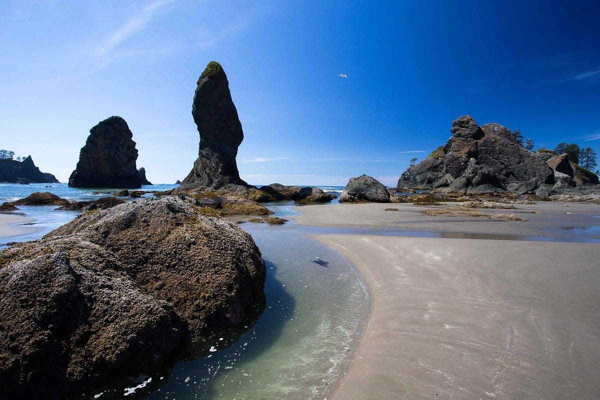 SHI SHI BEACH - All You SHOULD Know Before Going 2026 (with Reviews) SHI SHI BEACH - All You SHOULD Know Before Going 2026 (with Reviews)