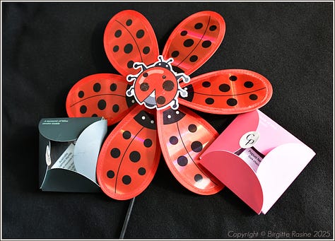 Chocolat Philippe bar display with a red ladybug pinwheel
