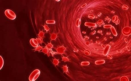 Image result for blood 