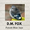 Future Blue Jays Newsletter