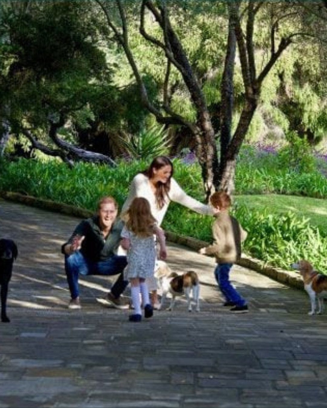 IMG_8349.jpeg IMG_8349.jpeg