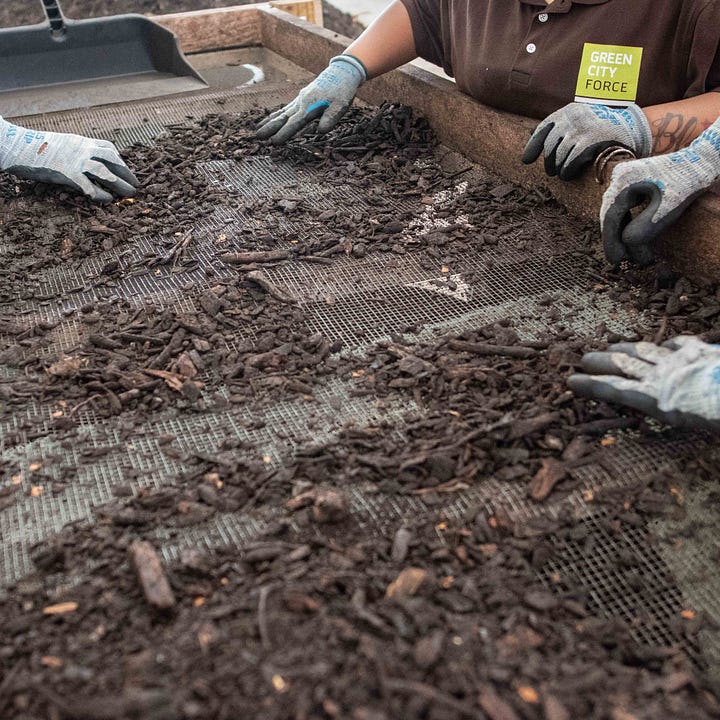 Diptych: Hands sort compost; Hands hold green bucket dumping food waste.