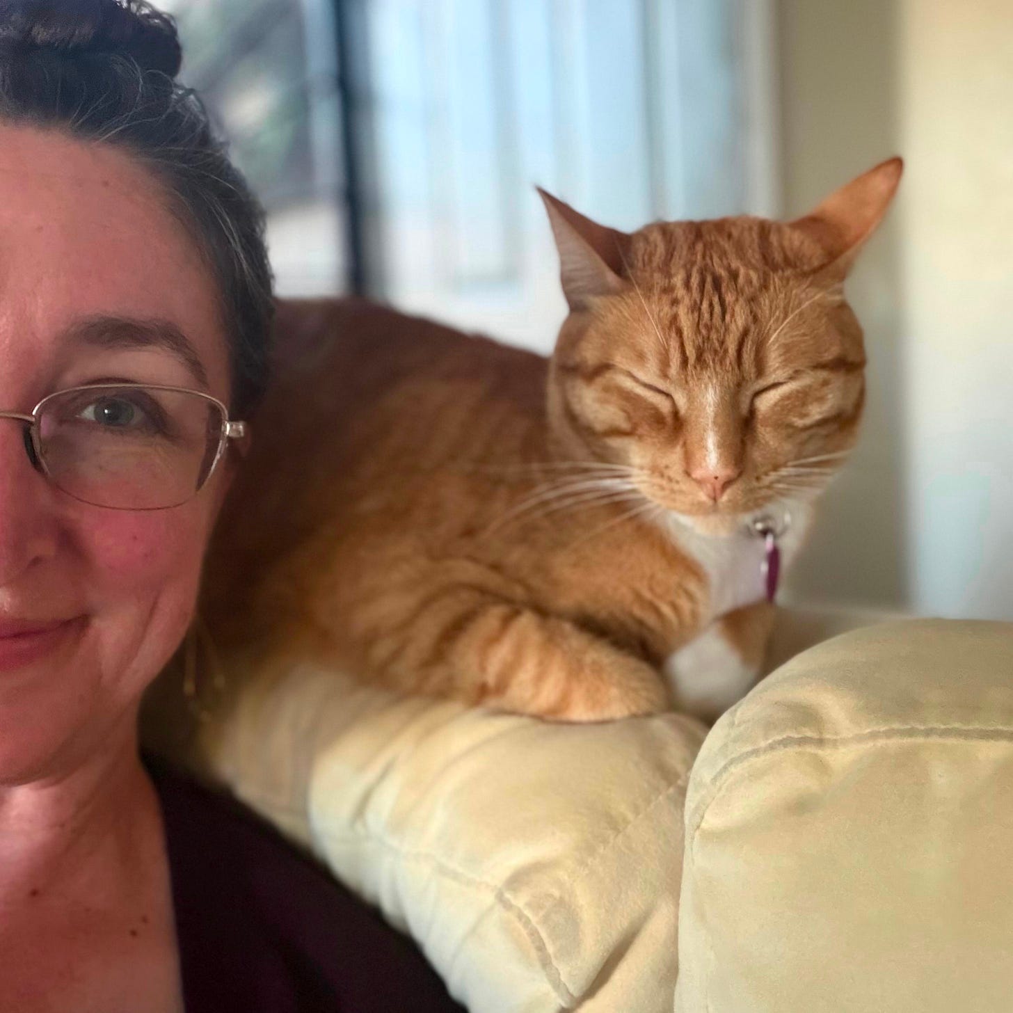 An orange cat perches on the back of a white couch, front paws tucked in and eyes closed.  Next to him, a woman wearing glasses smiles at the camera, the photo frame showing only half her image.