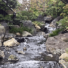 Troubles neurologiques et maladies auto-immunes : une nouvelle perspective