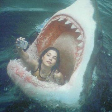 BEAUTIFULLY ARROGANT