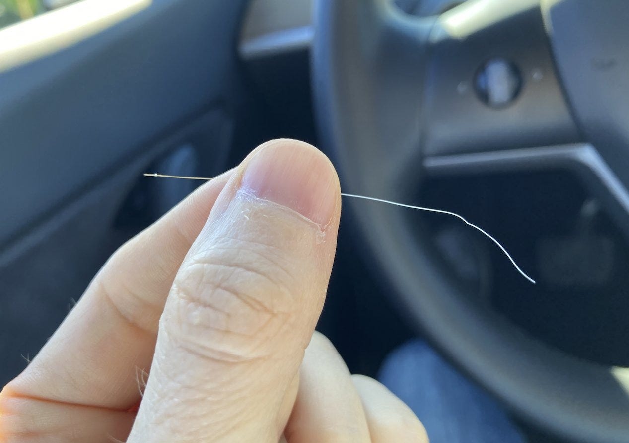 Martin Picard sitting in his car holding a single strand of grey hair.