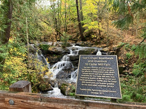 Images of Cedar Mills trail, waterfall, trees, and bridges