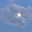 Moon Tishpawn's avatar