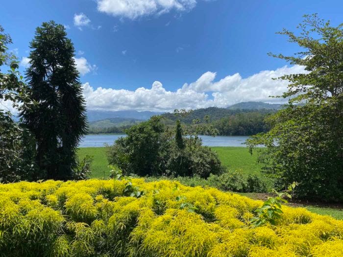 View of Angostura Lagoon from Casa Turire in Turrialba.