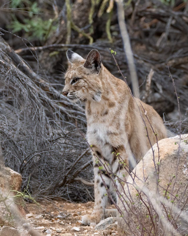 20250702-mby-49-Edit.jpg 20250702-mby-49-Edit.jpg