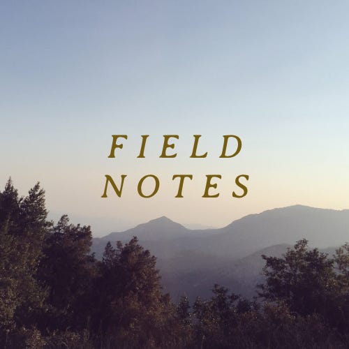 Field Notes by Zadi Diaz