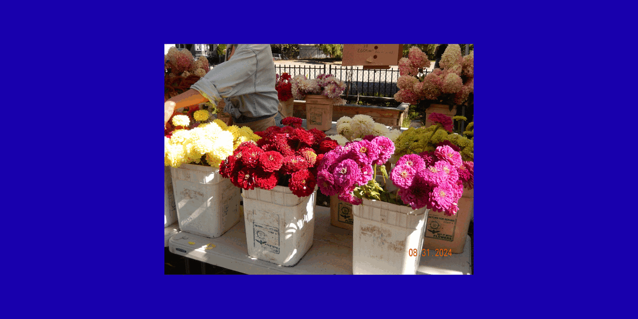 How to find your creative style and voice 