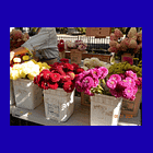 How to find your creative style and voice 