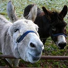 Yes, Democrats, We All Fully Understand That You Are The Minority Party Right Now